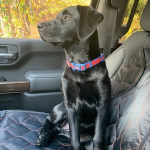 Meet your Posher, Katelyn